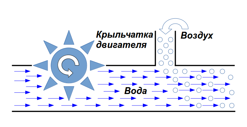 Зачем нужен биофильтр?