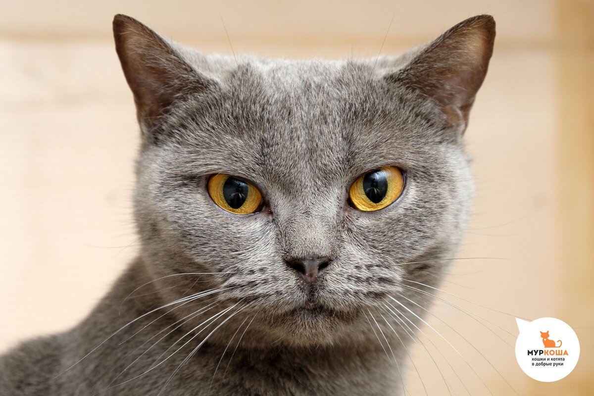 Кристина, 2 года