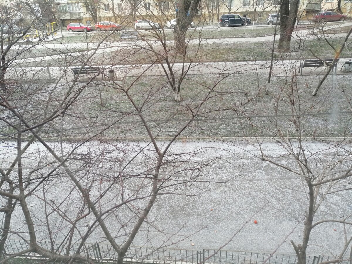 И такой снег, большая редкость