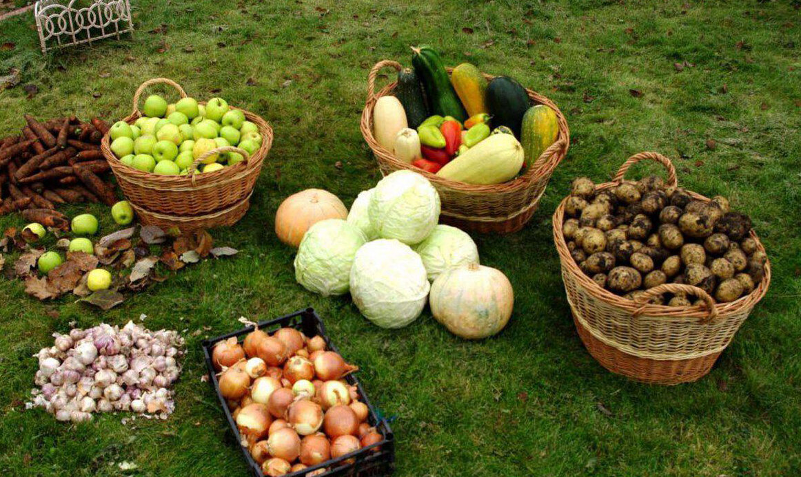 Не просто хранилище, а настоящее богатство