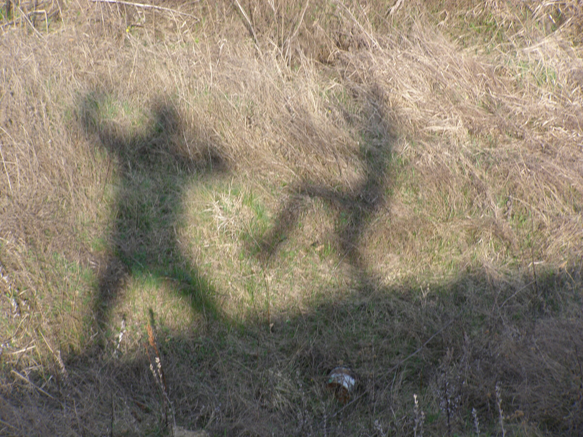 Вечный вызов.