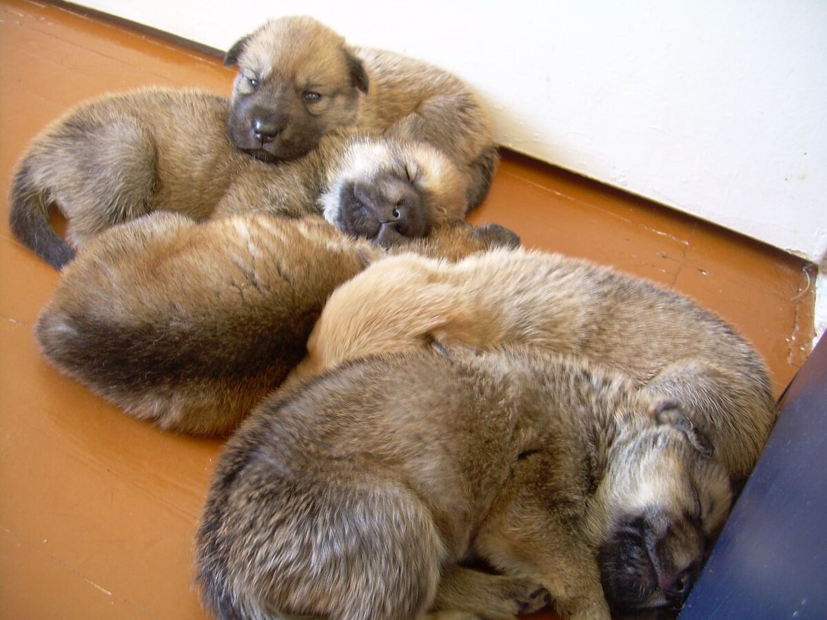 Авторский фотоархив