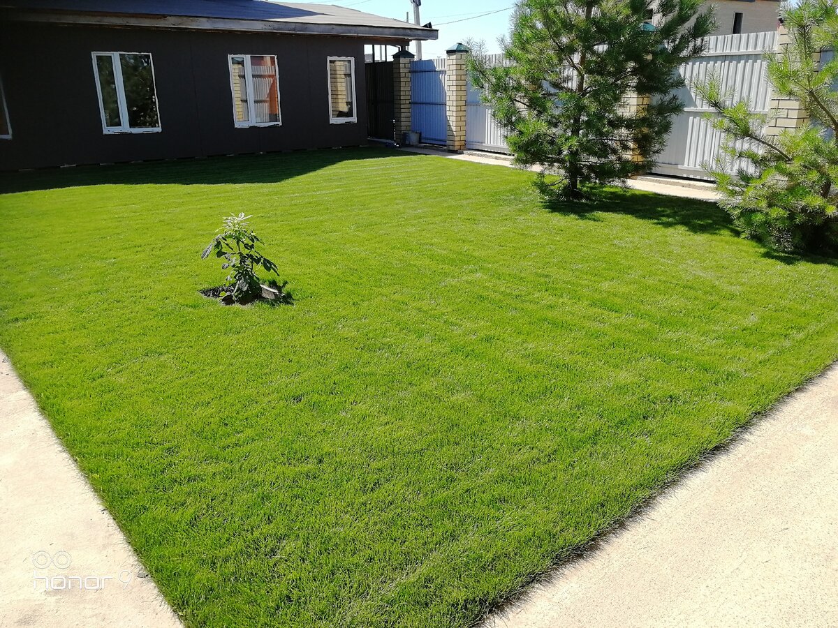 Почапская Мария 