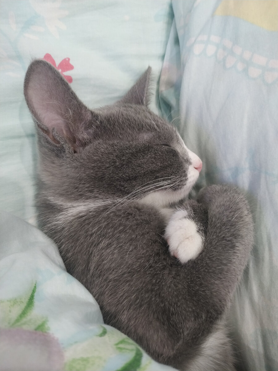 Знакомьтесь - это Тася.