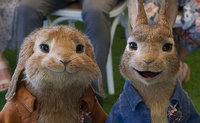 Изображение взято с Яндекс картинки в ознакомительных целях