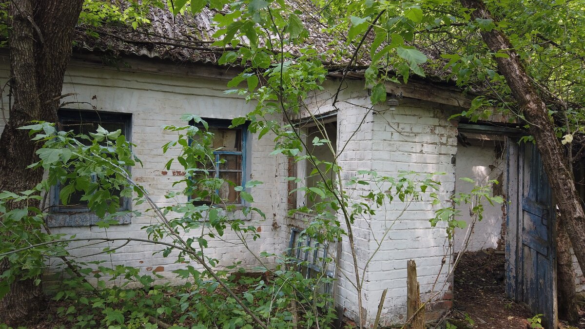Заброшенное село Черевач в Чернобыльской зоне на берегу реки Уж. Красивые места