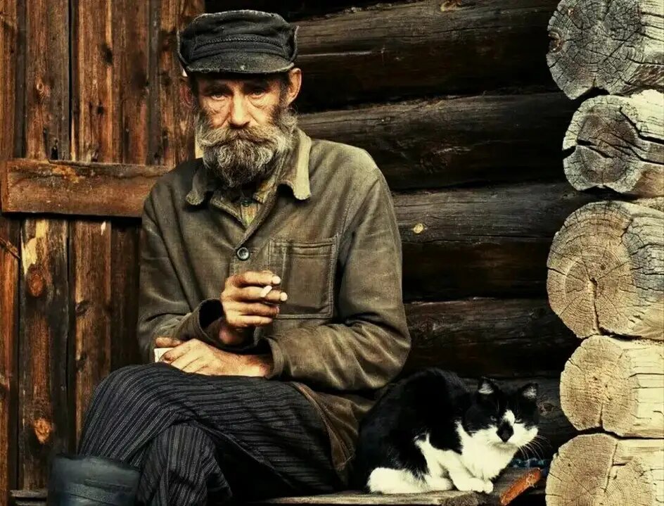 Яндекс.Картинки