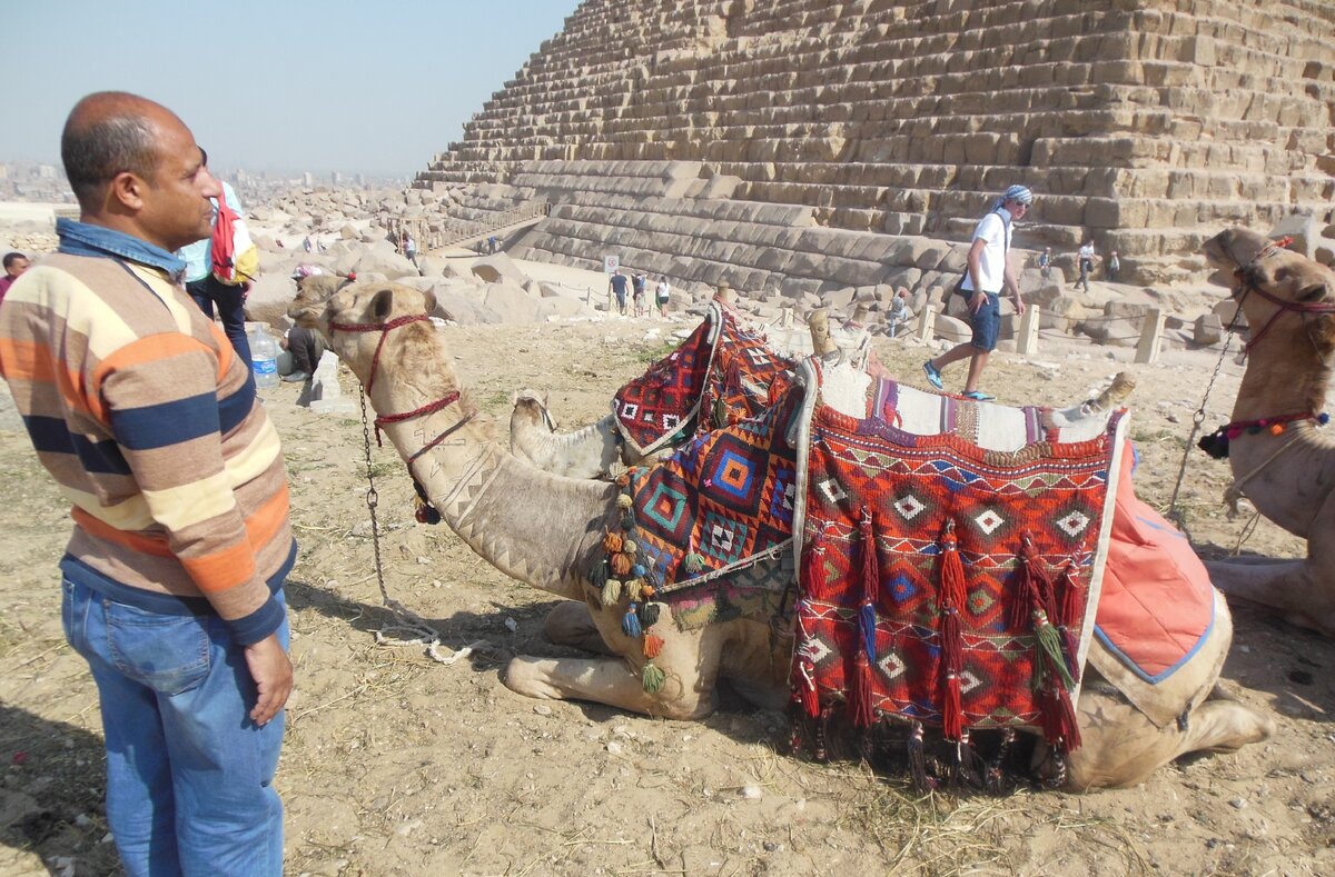 Наш гид  и верблюды на фоне одной из пирамид