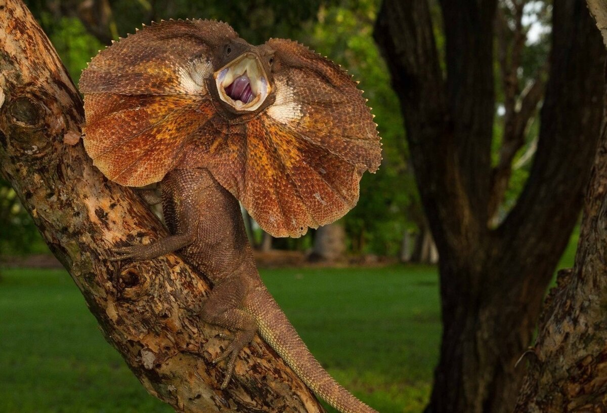 Где зарплата, я спрашиваю?!)))