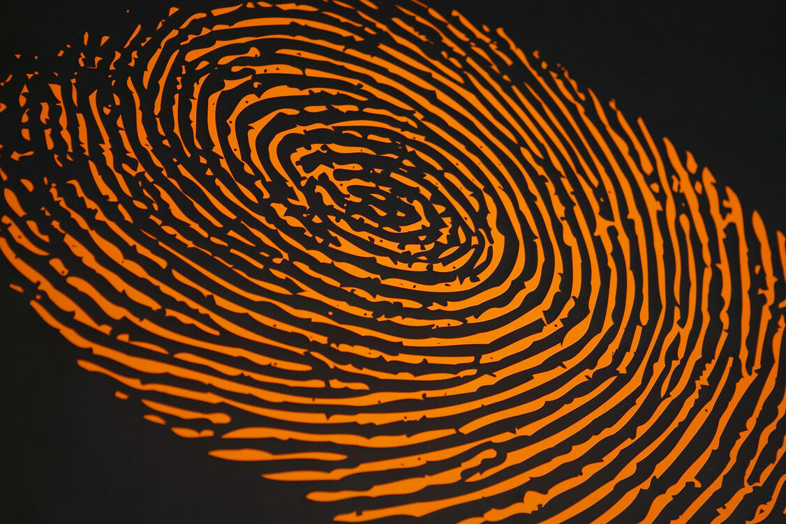 отпечаток пальца