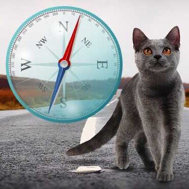 Путеводитель по сказкам