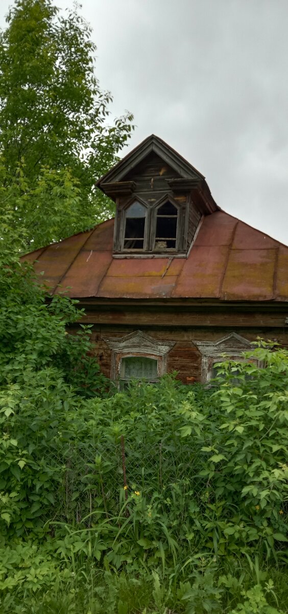 Фото автора. Жилец на чердаке