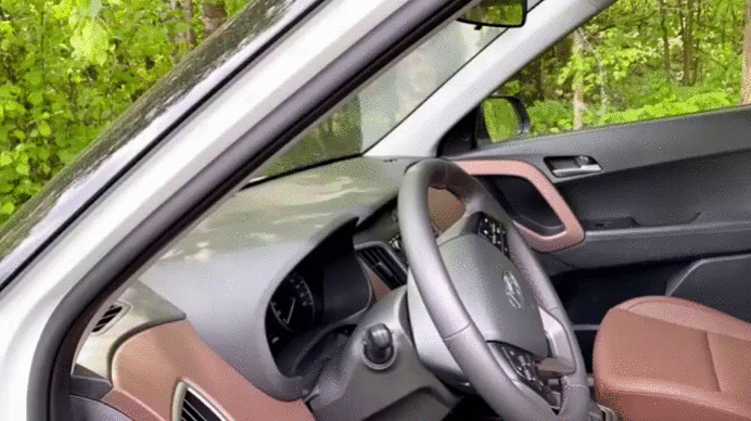 Салон в Hyundai Creta. Лиса Рулит