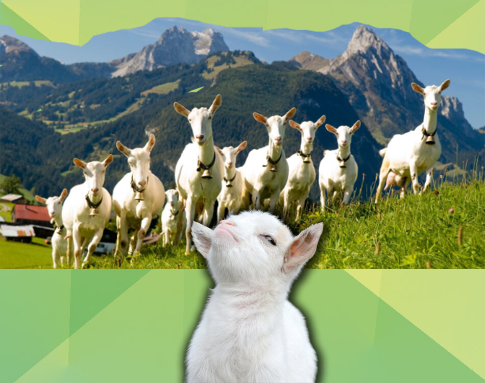 Твоё лицо, когда догадался  о чём-то первым :)))