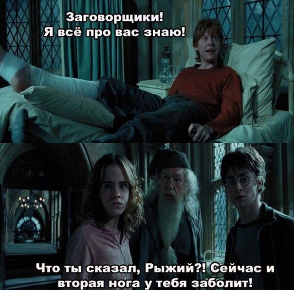 Просмотр
