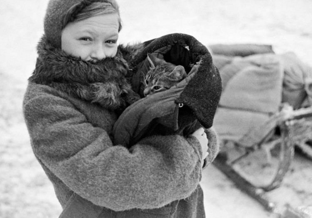 Кот или кошка на руках девочки