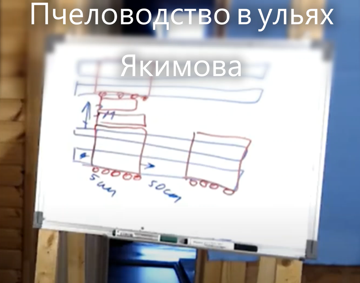 Ленинградка VS Динамо-Ак Барс. Трансляция в матч центре. Волейбол. Официальный сайт ВФВ