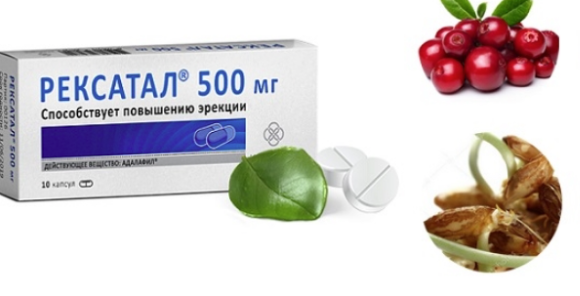 Как выглядит рексатал