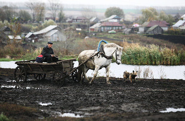 Здесь и далее фото «Яндекс.Картинки»