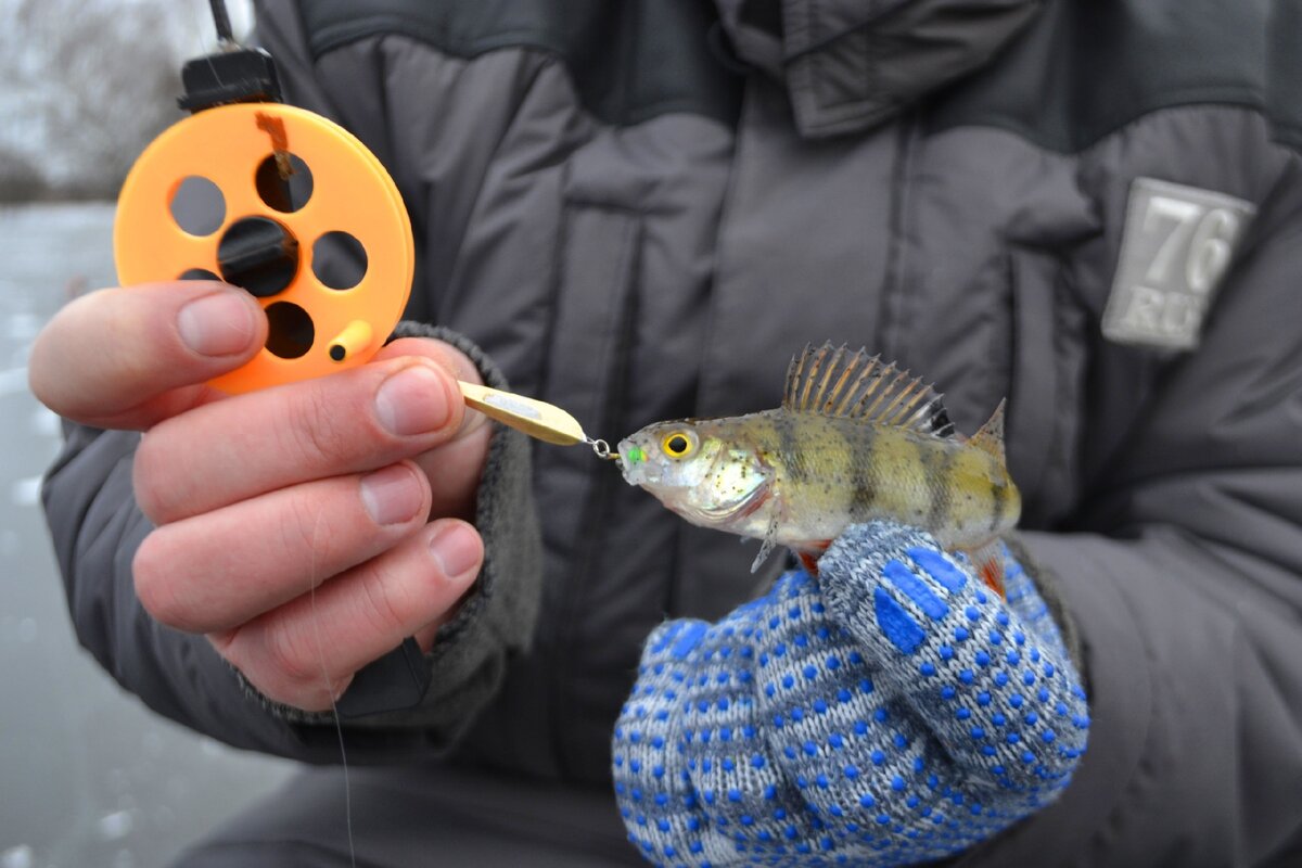 Маропедка 25мм