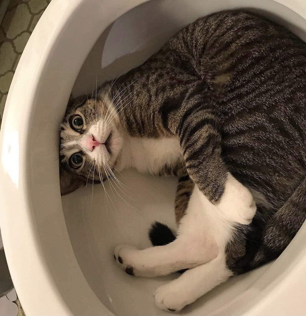 Фото с сервера Яндекс.Картинки
