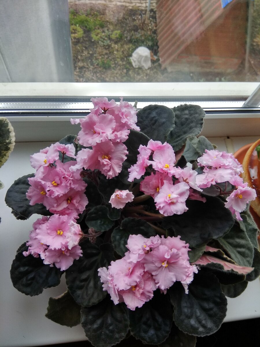 Все фото из личного архива.