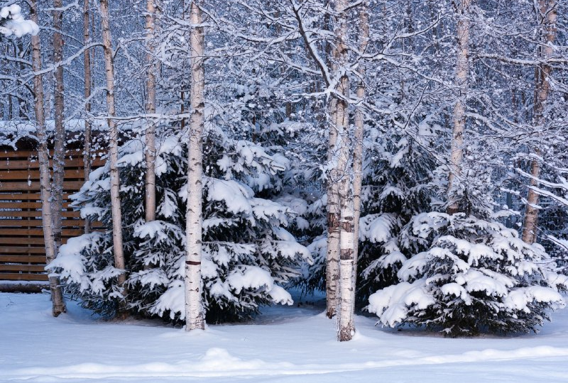 Взгляд изнутри на жизнь базы отдыха