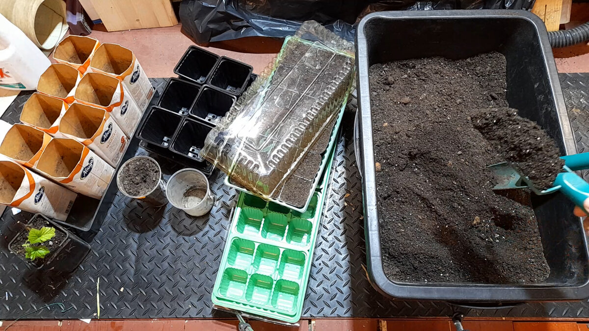 Готовим почвосмесь и контейнеры для посадки и пересадки рассады 