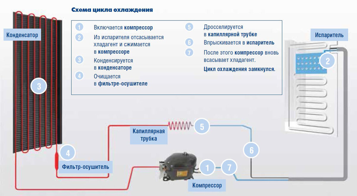 Типовая схема устройства большинства моделей современных холодильников.