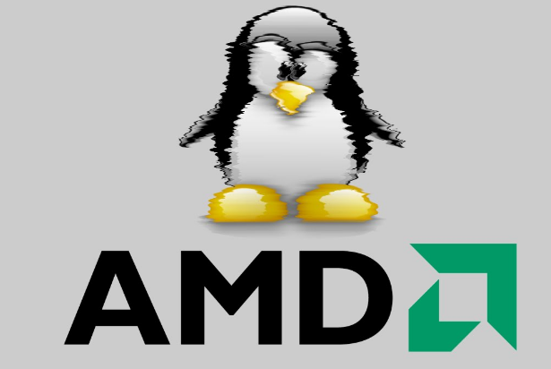 AMD начала активно нанимать разработчиков для Linux. Возможно, сказался рост продаж компании, а также успехи в корпоративной сфере и области высокопроизводительных вычислений.Несмотря на то, что AMD уже обеспечивает поддержку Linux, компания ищет возможности для улучшений поддержки компилятора для новых процессоров и их аппаратного обеспечения. 
Компания открыла вакансию менеджера по разработке ядра Linux, который будет следить за всей командой разработчиков. Отмечается, что в настоящее время подобной позиции в компании нет. Таким образом, с появлением менеджера предполагается улучшение координации команды.

Также открыта вакансия технического руководителя Linux. Его обязанности будут включать координацию с OEM-партнерами и поставщиками дистрибутивов Linux первого уровня в отношении новых функций и компонентов. Руководитель будет отвечать за то, чтобы партнеры и поставщики были в курсе последних новостей о поддержке AMD Linux.

Наконец, AMD нанимает инженеров и системных архитекторов Linux.

Некоторые из описаний вакансий начинаются так: «Переход в новую организацию, созданную для более стратегического и глубокого взаимодействия с техническими командами наших коммерческих клиентов». В AMD прокомментировали, что создавать новую организацию не предполагается, однако планируется общее расширение состава.