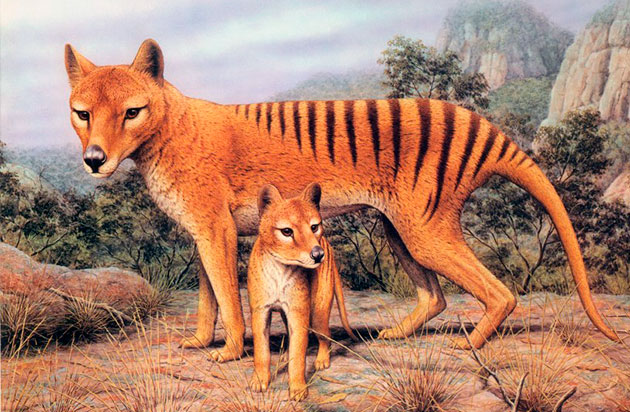 Источник фото: Яндекс 