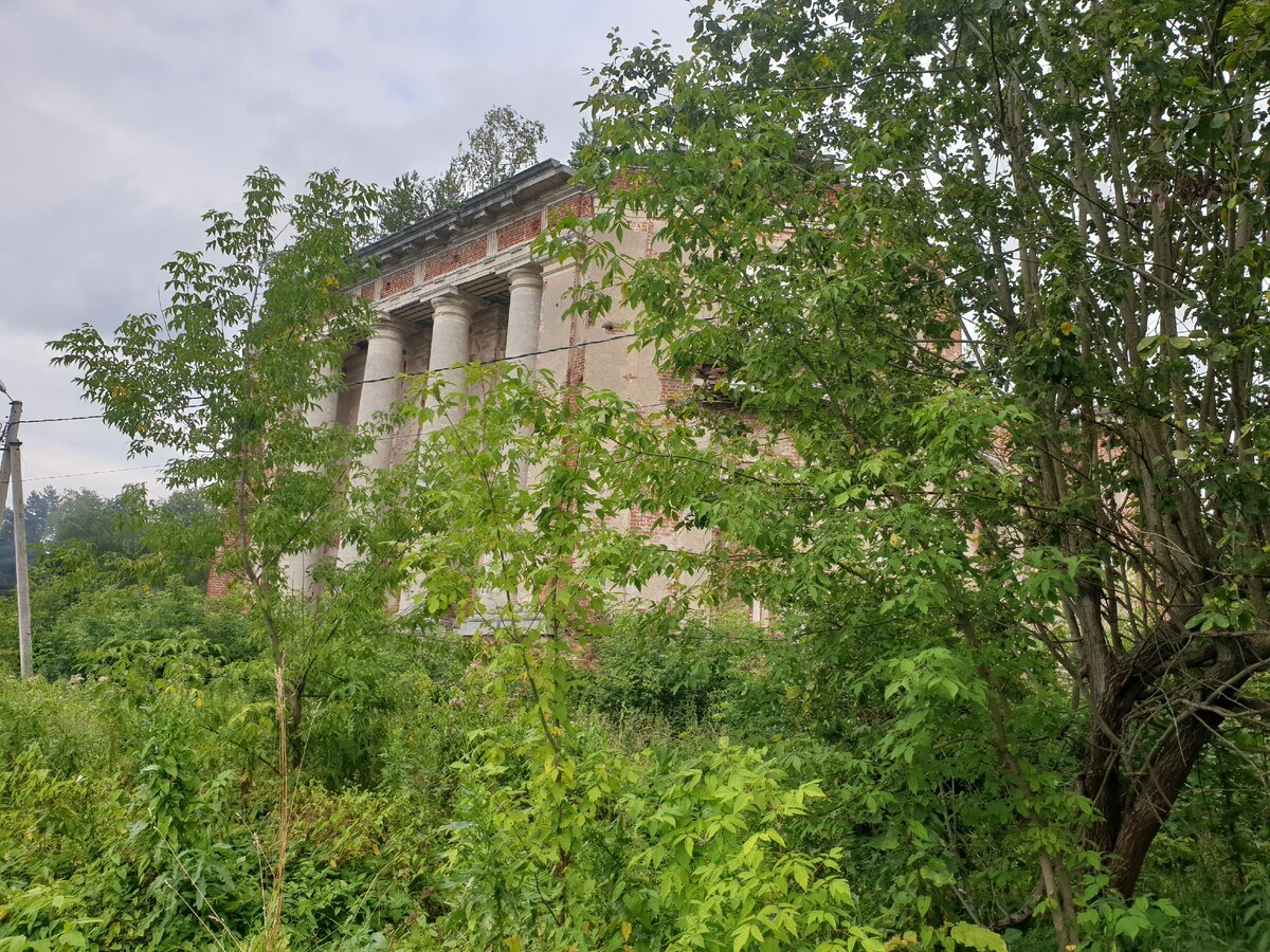 Фото автора 2020 г.
