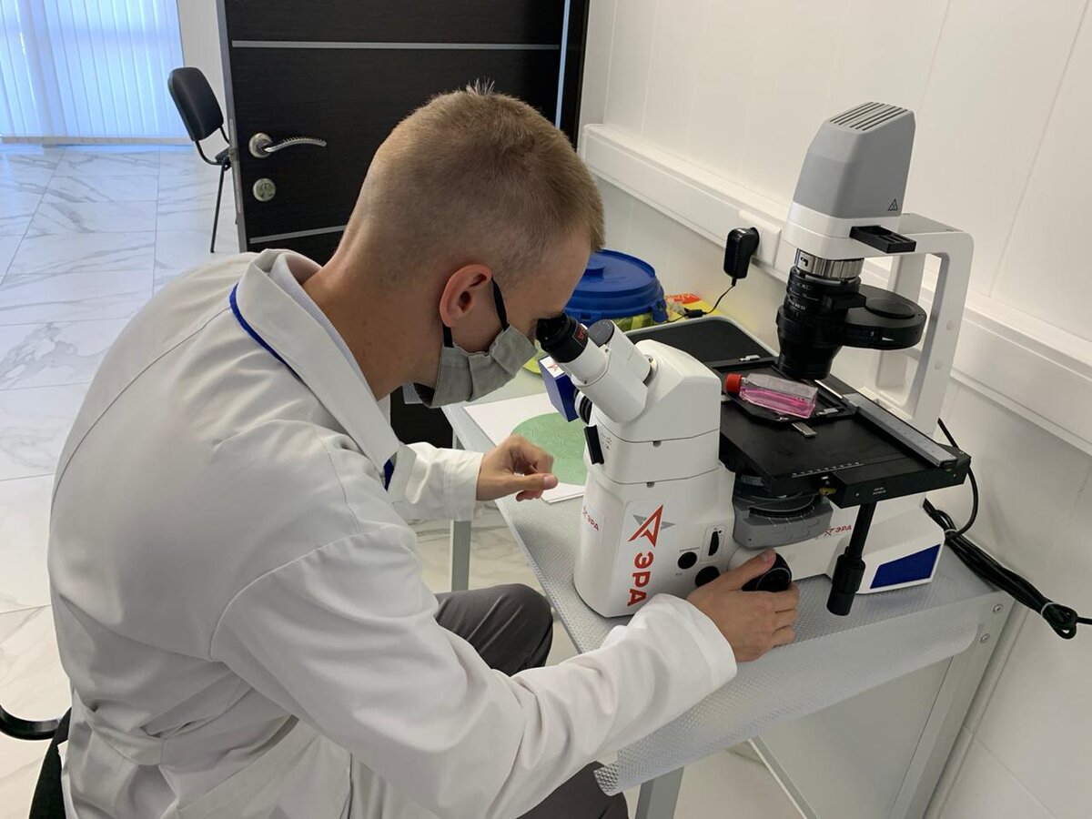 Фото с сайта ВМА https://www.vmeda.org