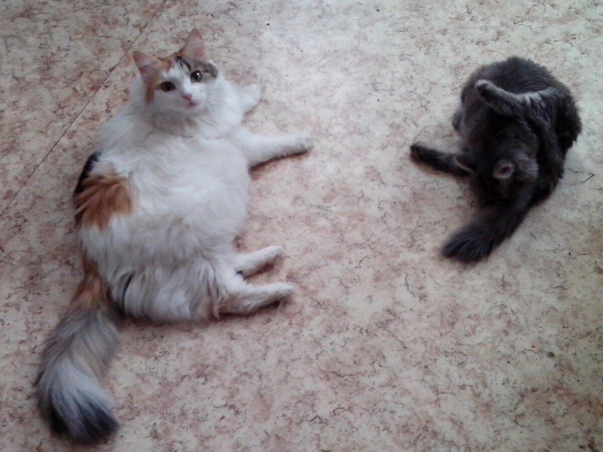 Соня - слева, Мася - справа