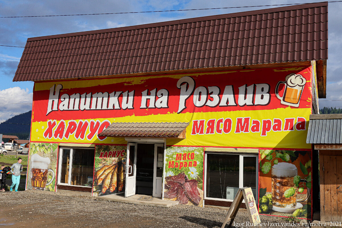 Сколько стоит мясо марала на Алтае? Зашел в магазин с местными ...