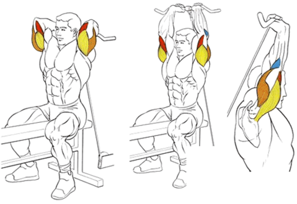 Французский жим в кроссовере.