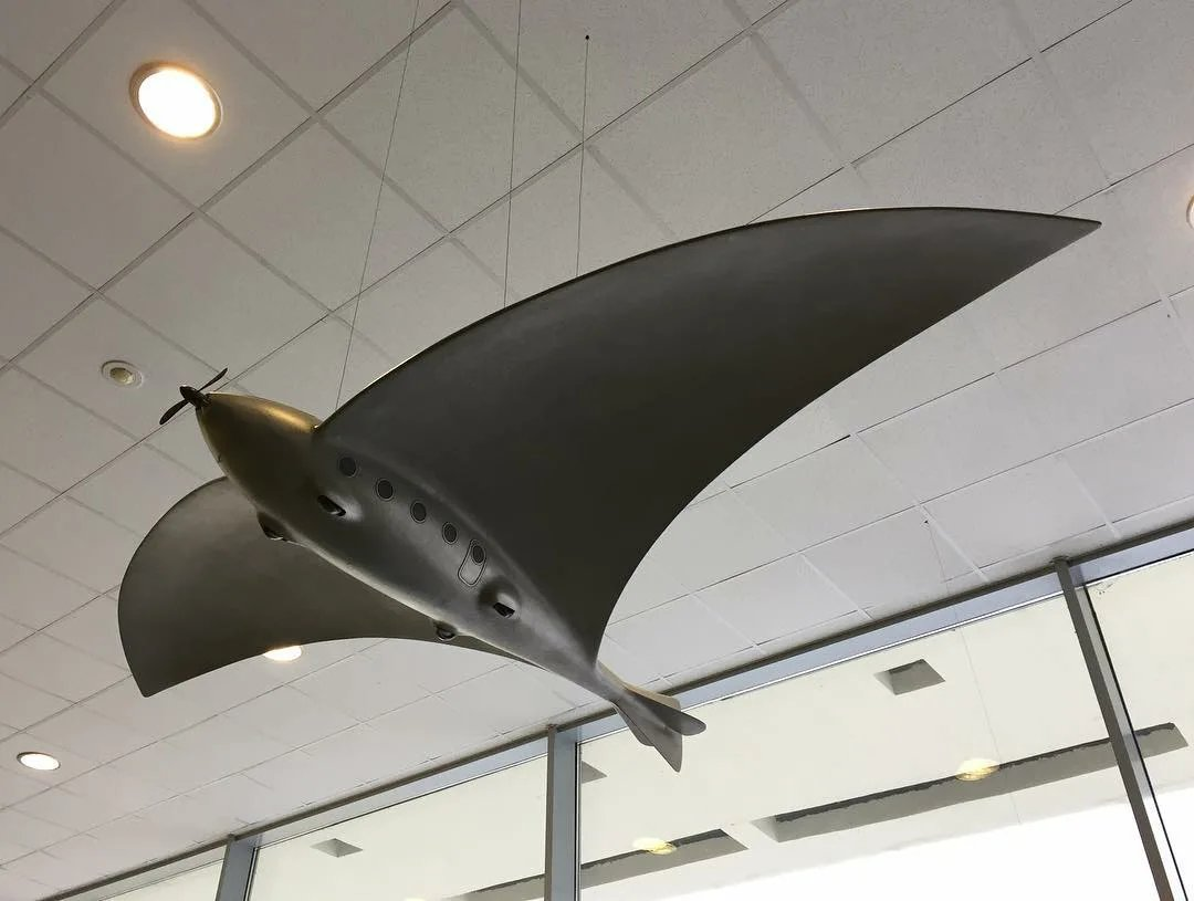 ���������� ���������� ����������� � ���������� ���������� ������, ���������� ����������� ������������, ����� � ���� �������� �� ������������, ������ � ��������������� ������� ������������ ������� ��-5