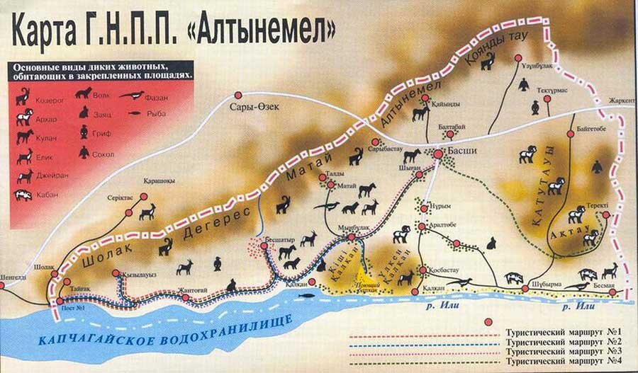 Карта животного мира парка Алтын-Емель