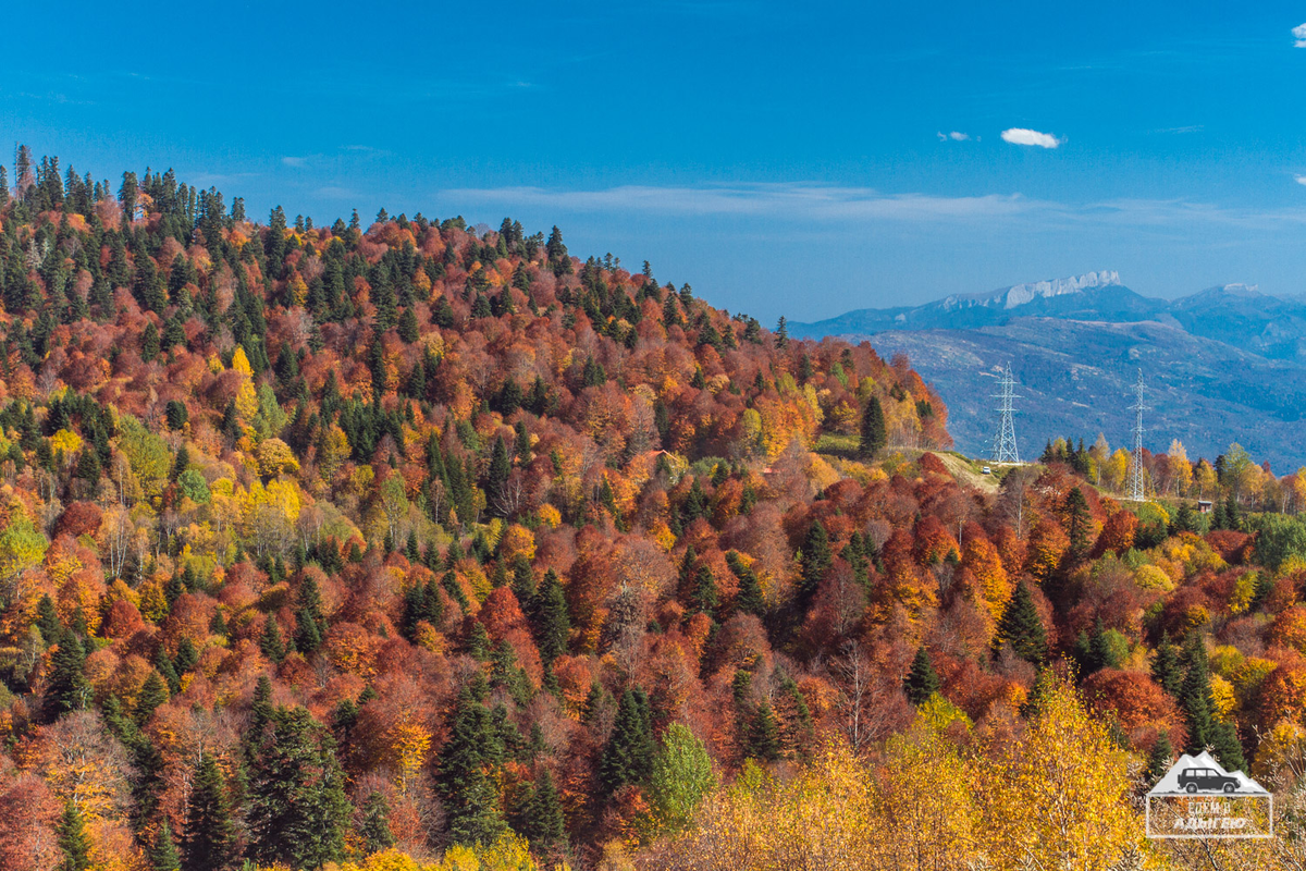 Плато Лаго-Наки, фотография с сайта edemvadygeu.ru