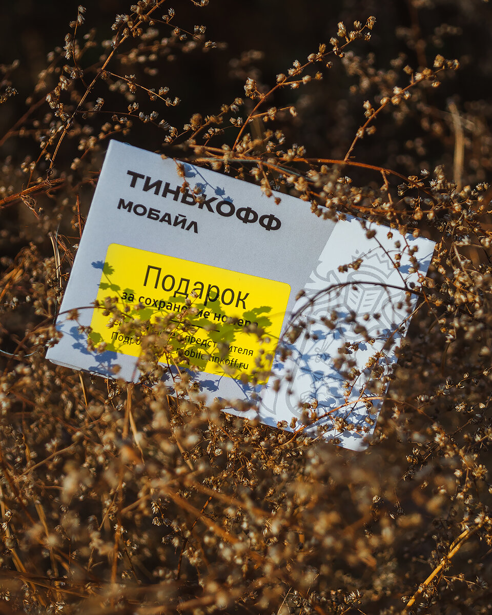 Тинькофф Мобаил (личное фото автора)