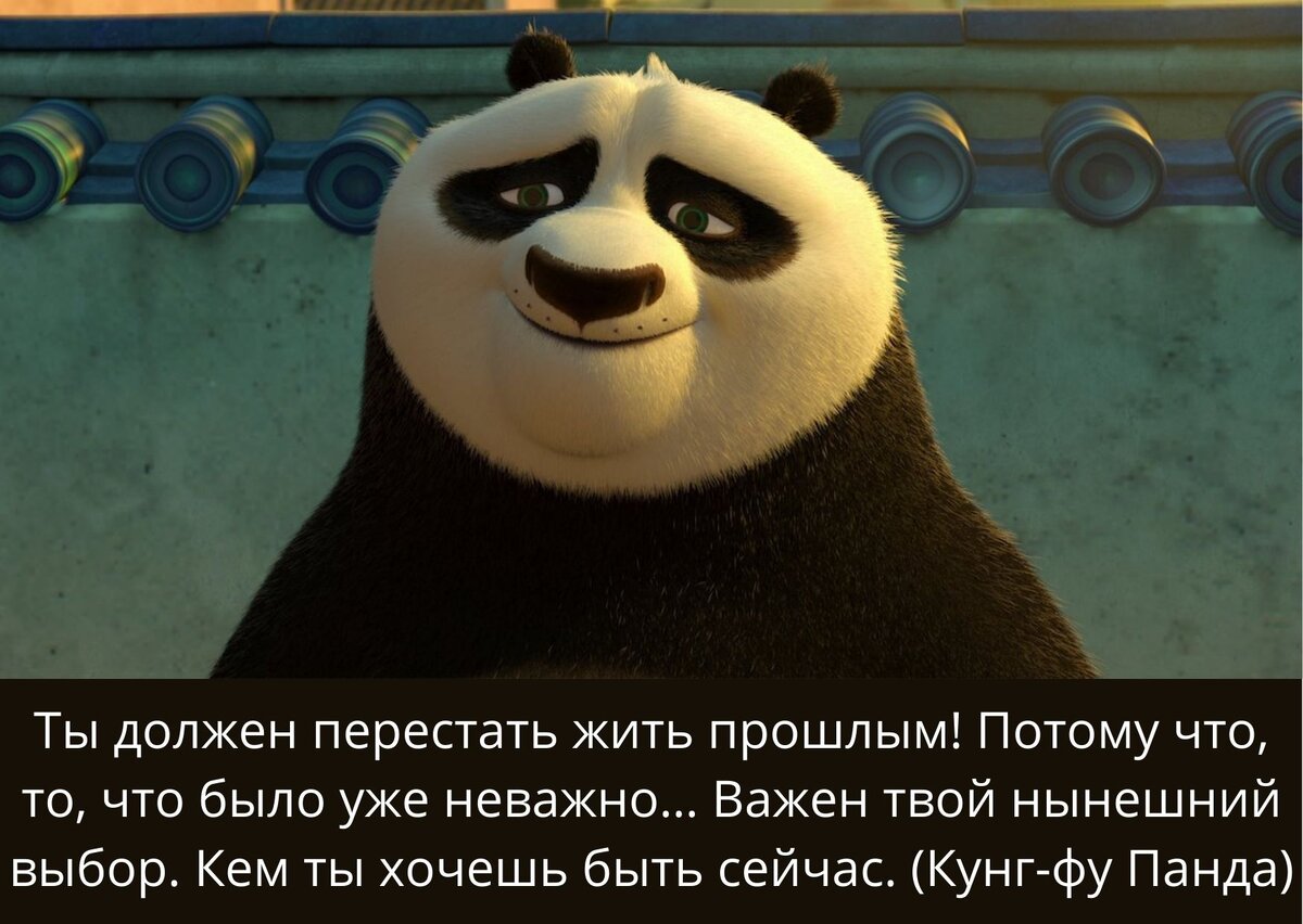 Панда режиссер