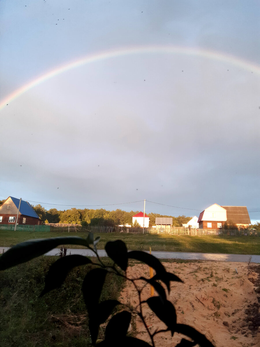 Вид из окна