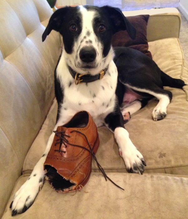 Фото: vkletke.by