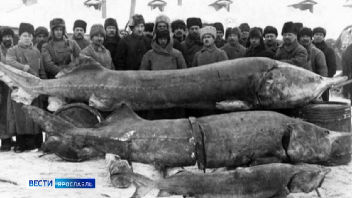 иллюстрация взята из интернета 