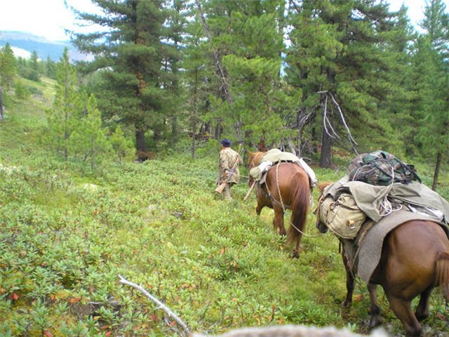 фото из интернета