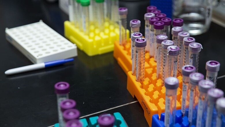 Фото: piqsels.com