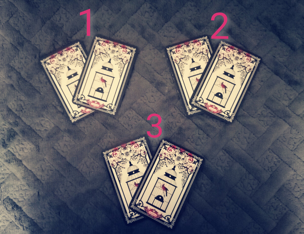 Выберите один вариант 