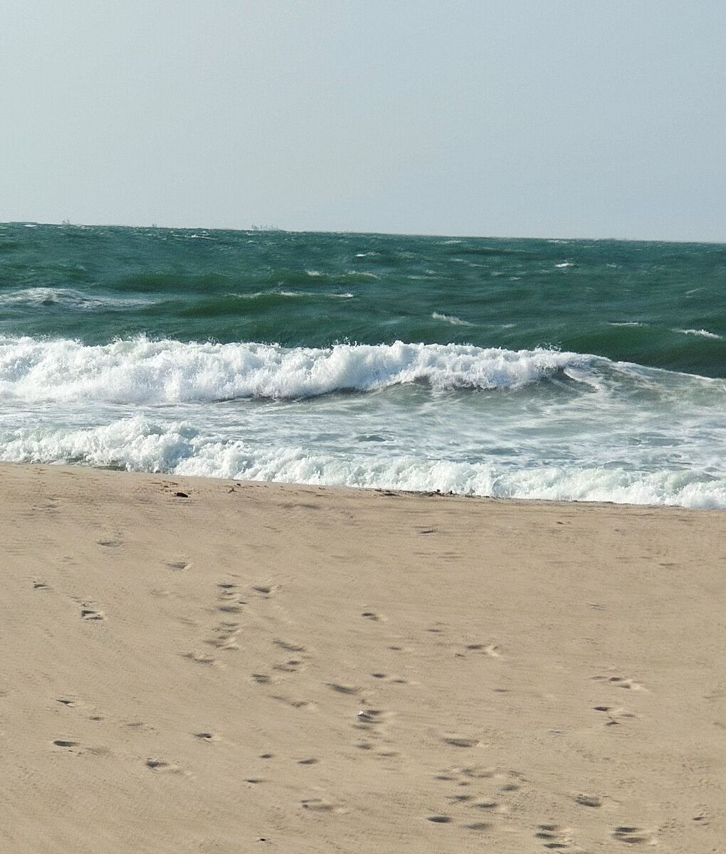 Где-там,  в глубине живут устрицы.