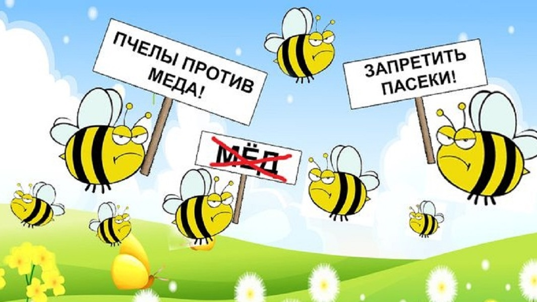 Пчелы против меда. Смешная пчела. Пчела прикол. Пчелы против меда карикатура.