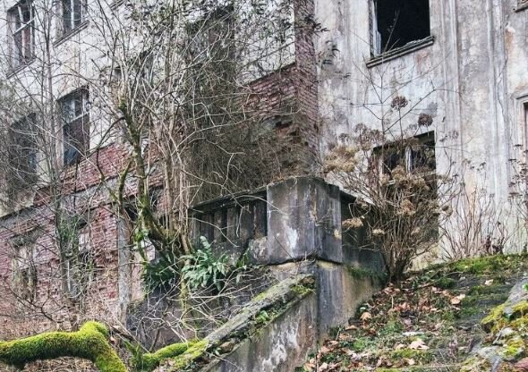 Свободный источник